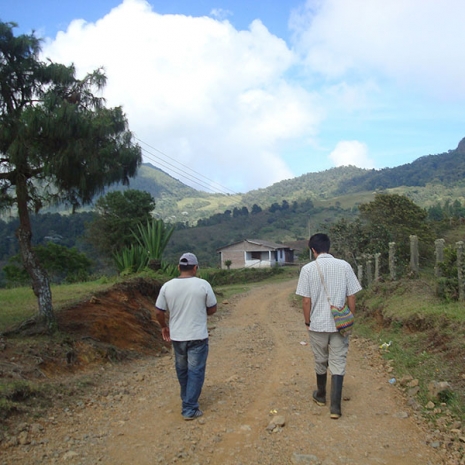 Specialty Colombian coffee producers walking along dirt road at origin farm.