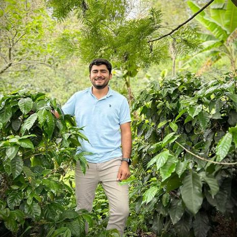 Organic coffee producer Bryan Bautista standing next to coffee plants at his farm in Honduras.